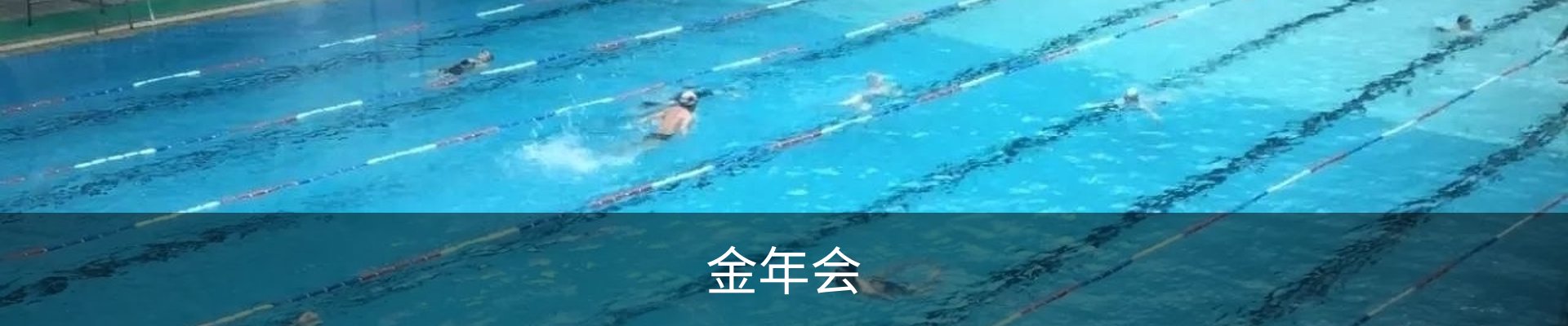 金年会